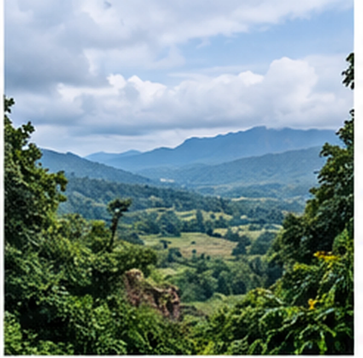 Illustrated Tamia valley for the local cab service